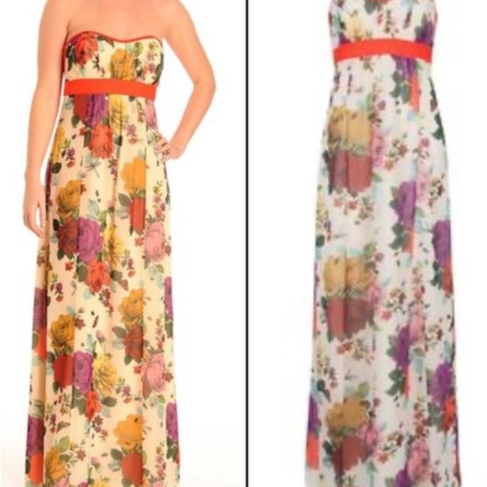 NWT Ted Baker Multicolor Floral Maxi Dress - size 1 - SHOW STOPPER